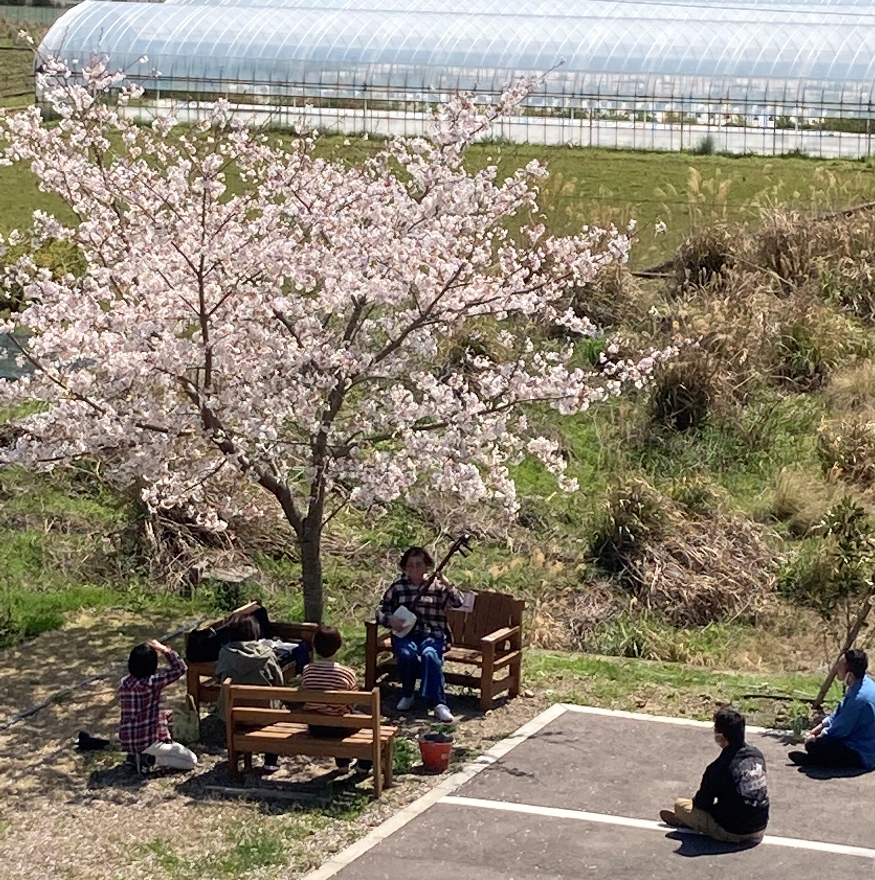 サムネイル画像